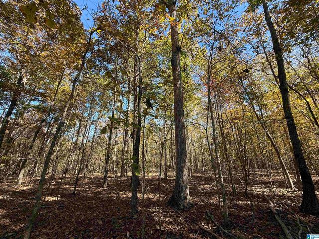 3701 HIGHWAY 132, Oneonta, AL 35121