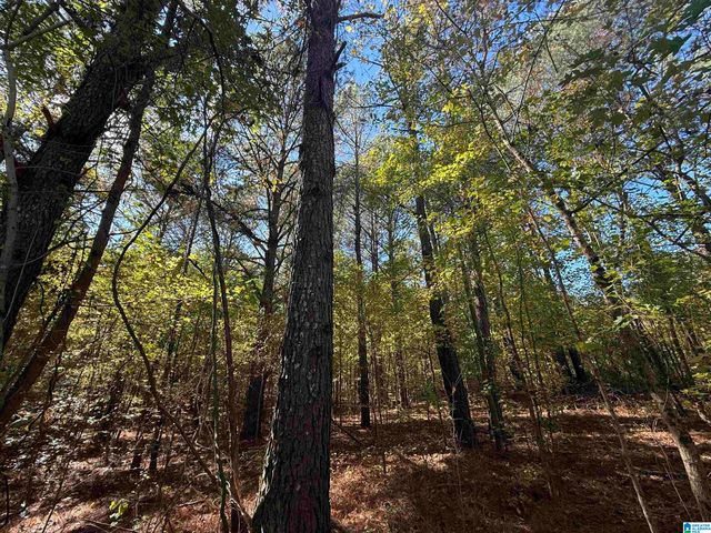 3701 HIGHWAY 132, Oneonta, AL 35121