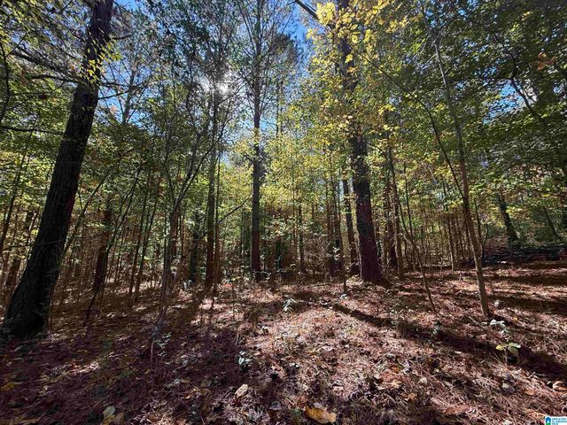 3701 HIGHWAY 132, Oneonta, AL 35121