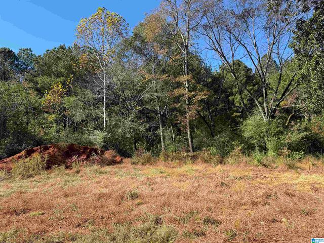 3701 HIGHWAY 132, Oneonta, AL 35121