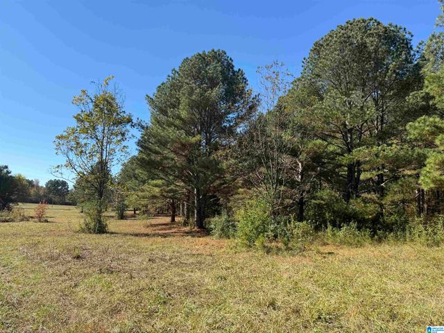 3701 HIGHWAY 132, Oneonta, AL 35121
