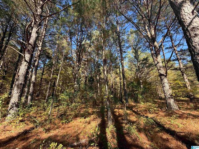 3701 HIGHWAY 132, Oneonta, AL 35121