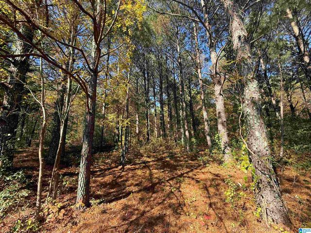 3701 HIGHWAY 132, Oneonta, AL 35121