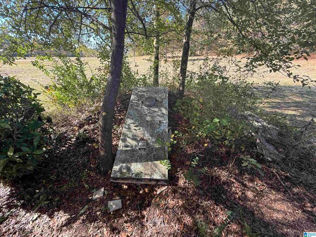 3701 HIGHWAY 132, Oneonta, AL 35121