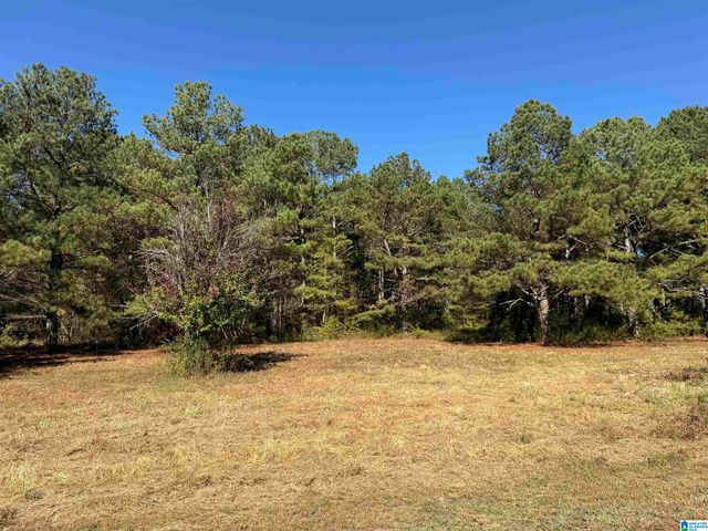3701 HIGHWAY 132, Oneonta, AL 35121