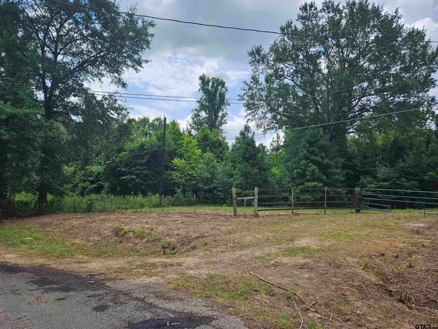 1225 County Rd 317, Tyler, TX 75706