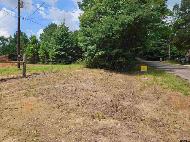 1225 County Rd 317, Tyler, TX 75706