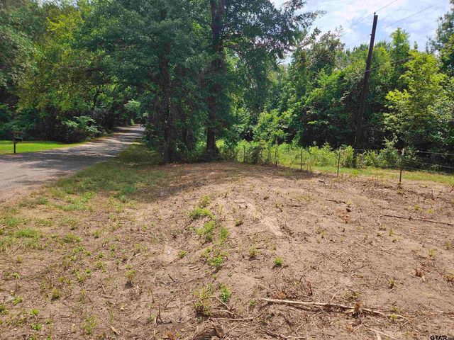 1225 County Rd 317, Tyler, TX 75706
