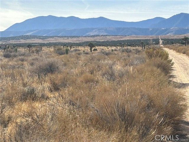 8 Fort Tejon Road, Llano, CA 93544