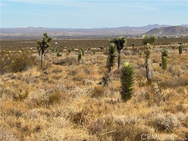 8 Fort Tejon Road, Llano, CA 93544