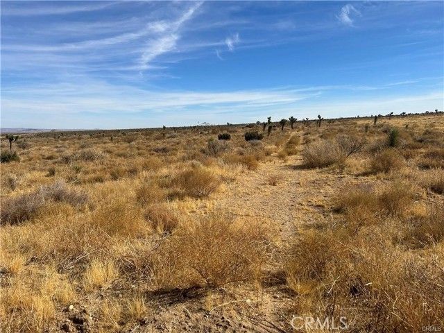 8 Fort Tejon Road, Llano, CA 93544