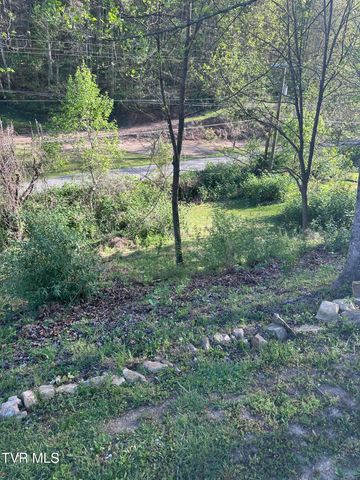 157 Sulaga Drive, Pennington Gap, VA 24277