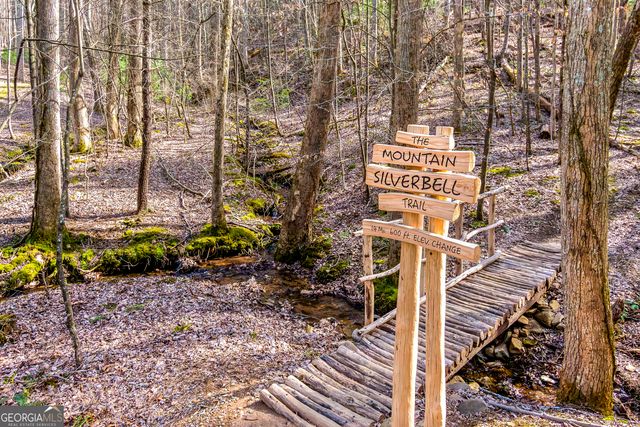 0 Ridge View Court, Ellijay, GA 30536