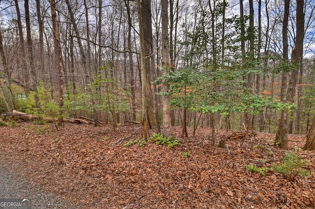 0 Ridge View Court, Ellijay, GA 30536