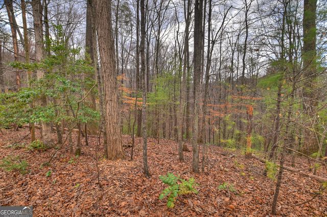 0 Ridge View Court, Ellijay, GA 30536