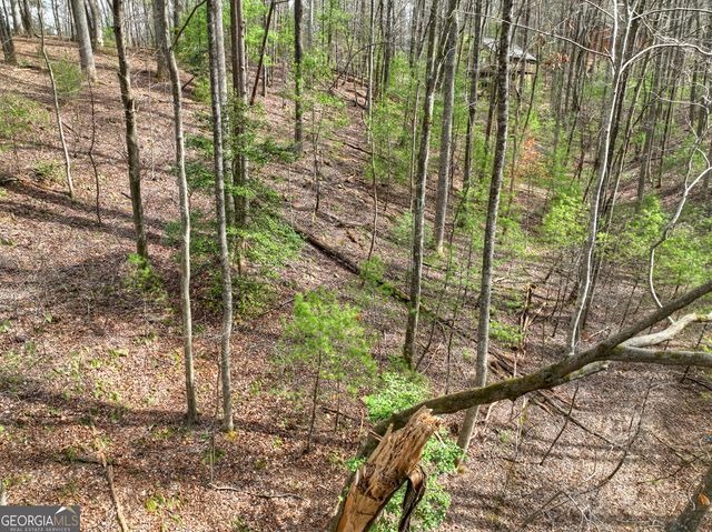 0 Ridge View Court, Ellijay, GA 30536