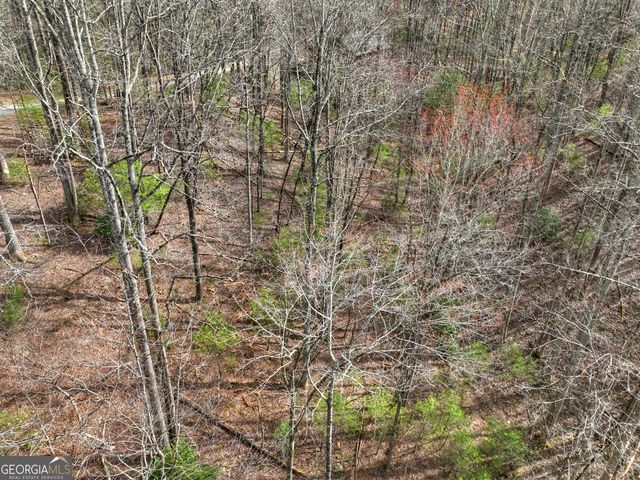 0 Ridge View Court, Ellijay, GA 30536