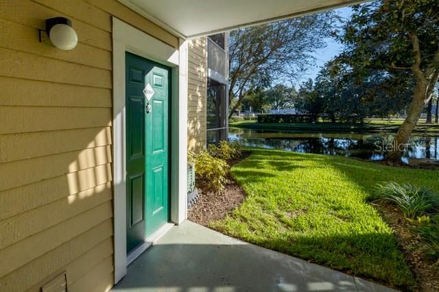 10024 STRAFFORD OAK COURT 806, Tampa, FL 33624