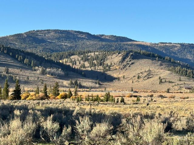 3600 W Red Rock Pass Rd, Island Park, ID 83429