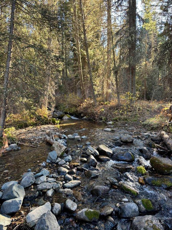 3600 W Red Rock Pass Rd, Island Park, ID 83429 photo 22