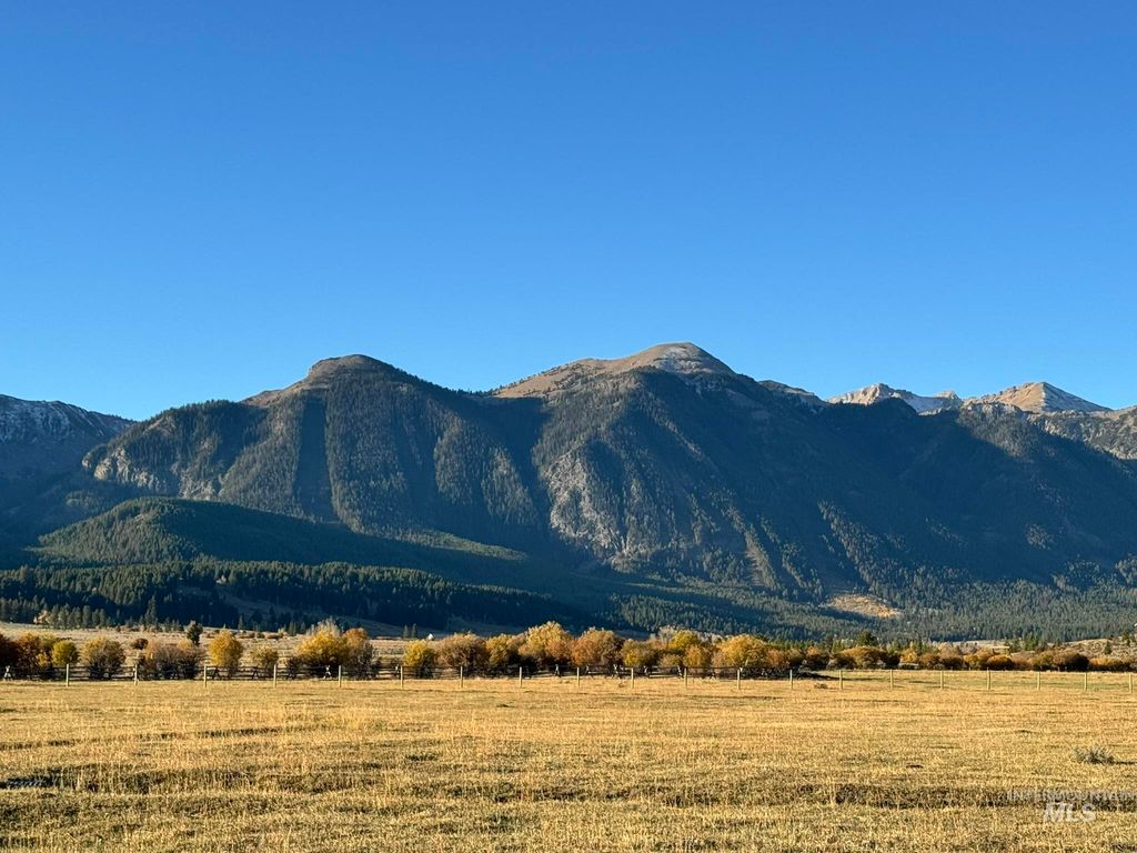 3600 W Red Rock Pass Rd, Island Park, ID 83429 photo 28