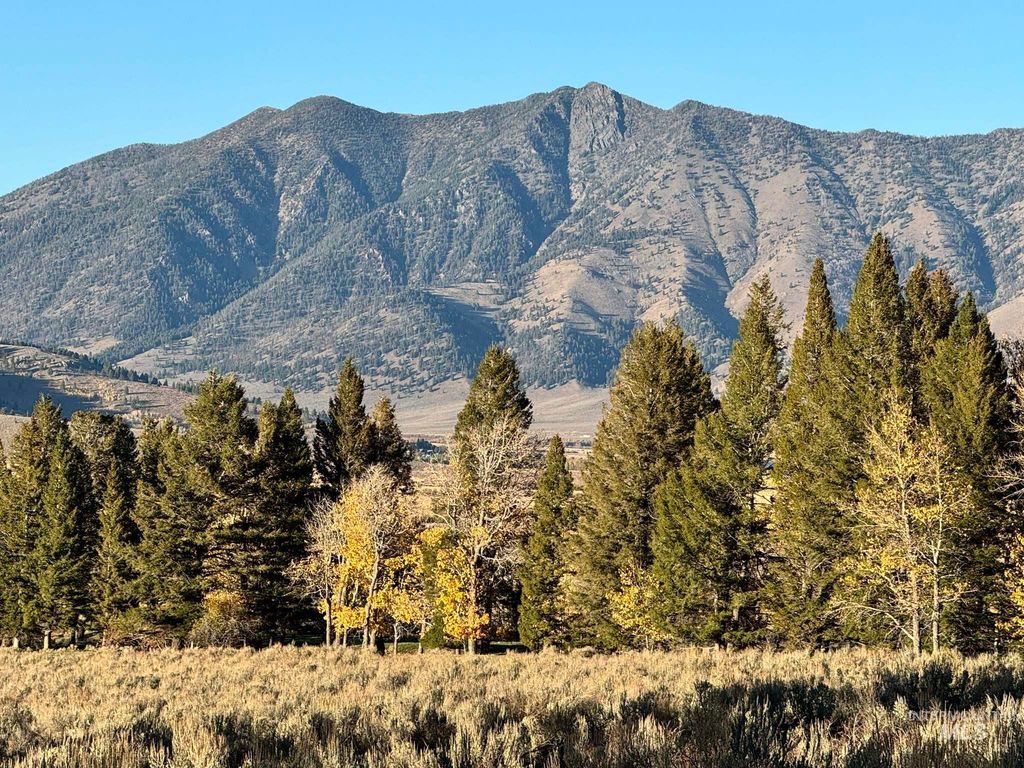 3600 W Red Rock Pass Rd, Island Park, ID 83429 photo 3