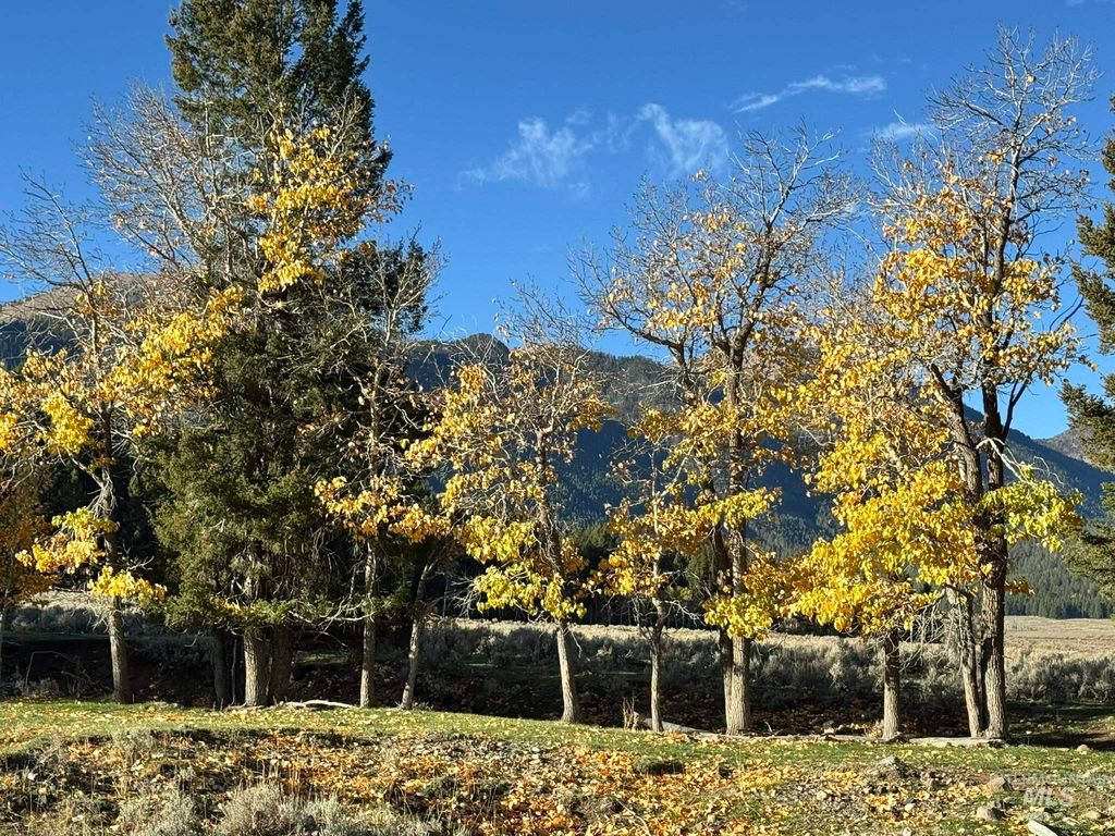 3600 W Red Rock Pass Rd, Island Park, ID 83429 photo 30