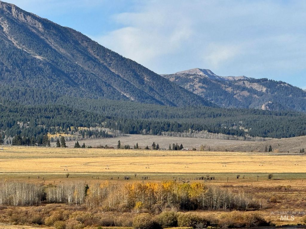 3600 W Red Rock Pass Rd, Island Park, ID 83429 photo 31