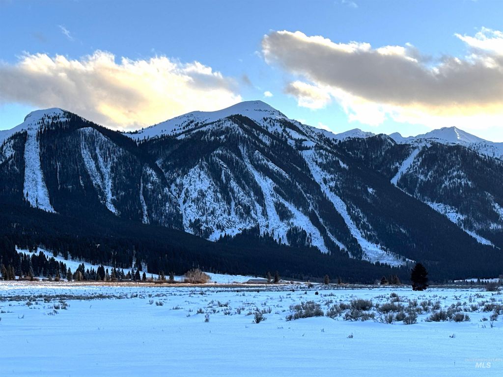 3600 W Red Rock Pass Rd, Island Park, ID 83429 photo 34