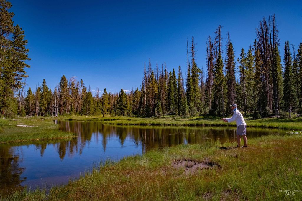 3600 W Red Rock Pass Rd, Island Park, ID 83429 photo 37