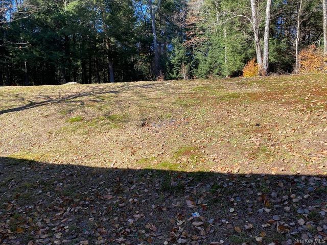 141 Gale Road, Mongaup Valley, NY 12762