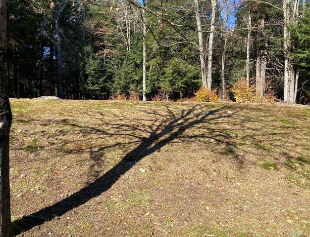 141 Gale Road, Mongaup Valley, NY 12762