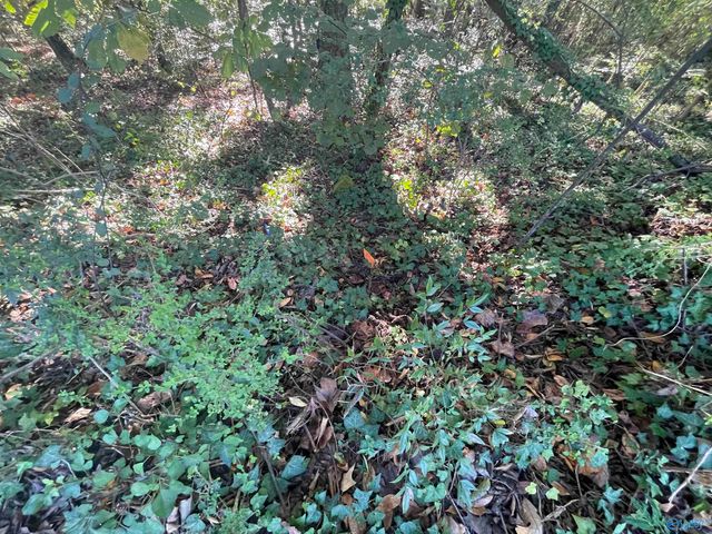 Lots 7-12 Halsey Street, Gadsden, AL 35901