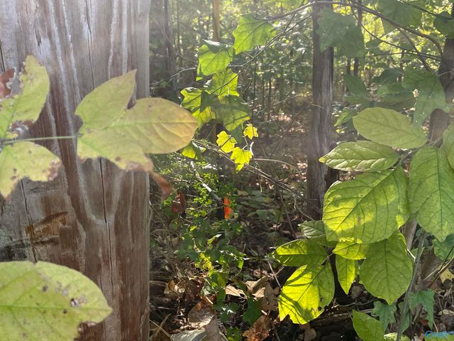 Lots 7-12 Halsey Street, Gadsden, AL 35901