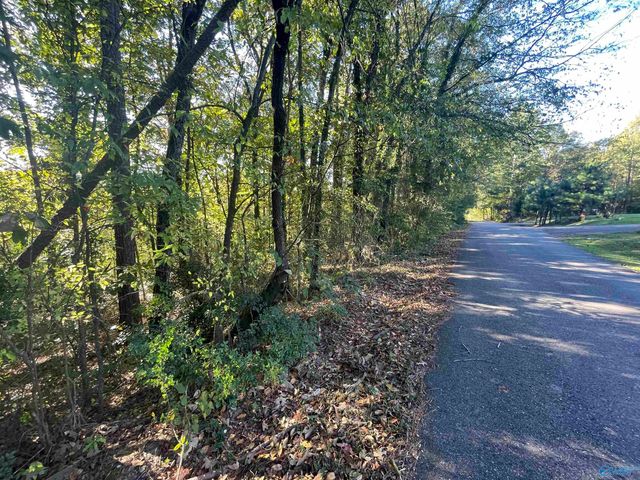 Lots 7-12 Halsey Street, Gadsden, AL 35901