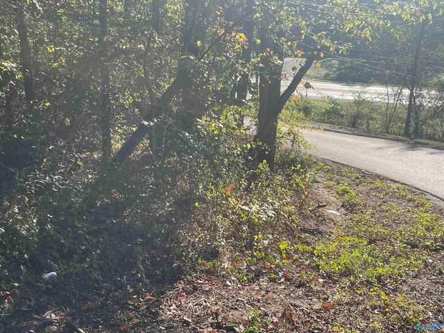 Lots 7-12 Halsey Street, Gadsden, AL 35901