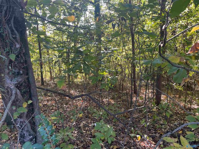 Lots 7-12 Halsey Street, Gadsden, AL 35901