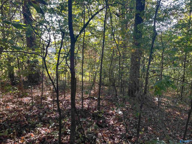 Lots 7-12 Halsey Street, Gadsden, AL 35901