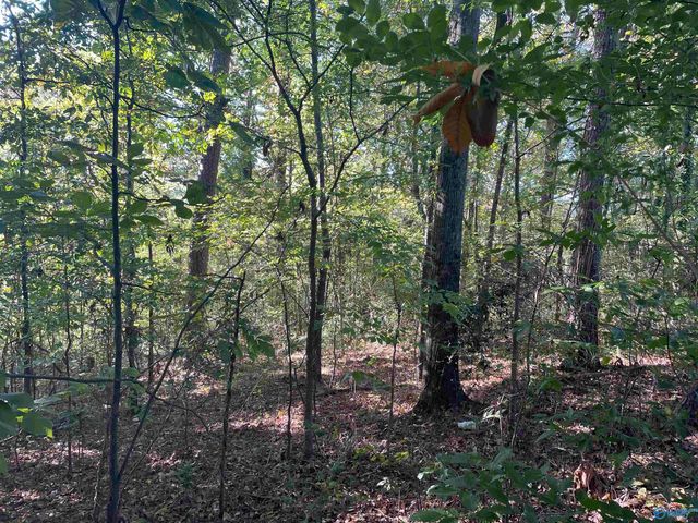 Lots 7-12 Halsey Street, Gadsden, AL 35901