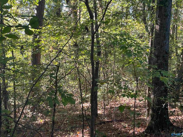 Lots 7-12 Halsey Street, Gadsden, AL 35901