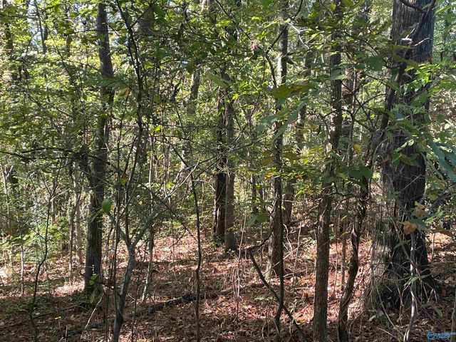 Lots 7-12 Halsey Street, Gadsden, AL 35901