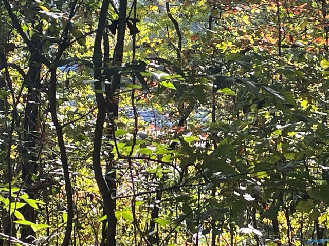 Lots 7-12 Halsey Street, Gadsden, AL 35901