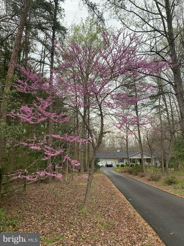 230 RICHARDS FERRY RD, Fredericksburg, VA 22406
