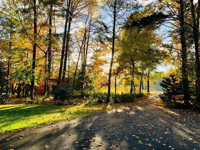 230 RICHARDS FERRY RD, Fredericksburg, VA 22406