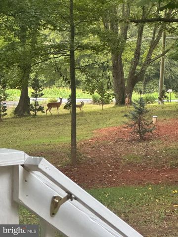230 RICHARDS FERRY RD, Fredericksburg, VA 22406