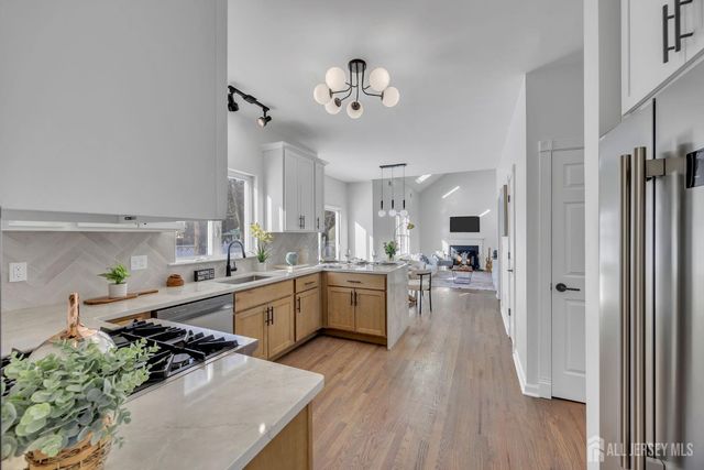 4 Rauer Court, South Plainfield, NJ 07080