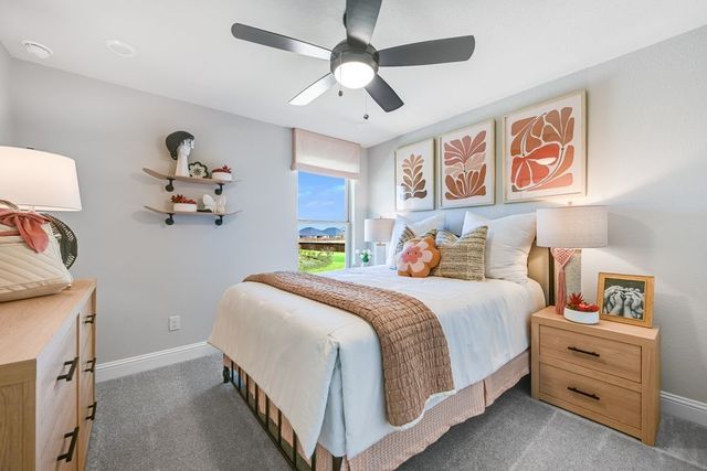 4217 Cleburne Lane, Mckinney, TX 75071