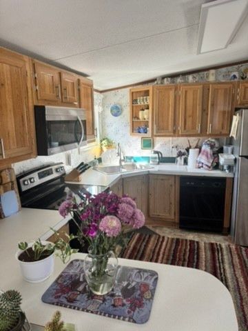 6790 Flat Creek Rd, College Grove, TN 37046