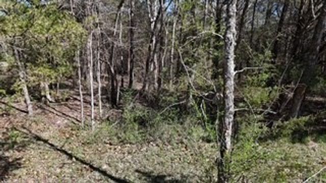 6790 Flat Creek Rd, College Grove, TN 37046