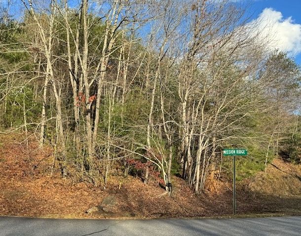 Lot 49 Mission Ridge, Hayesville, NC 28904